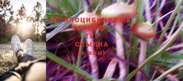 мяу мяу мука Верхний Тагил